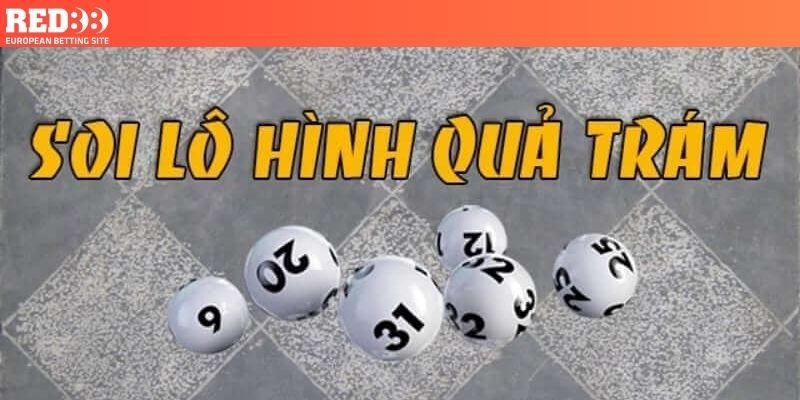 Lô Hình Quả Trám Là Gì? Hướng Dẫn Soi Cầu Quả Trám Chi Tiết